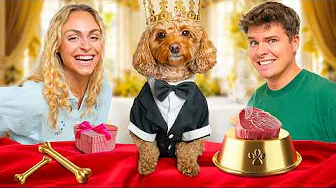 Vi gav Baloo hans DRØMMEDAG!