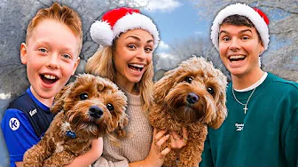 BALOO MØDER SIN BROR! - Juleafsnit 16