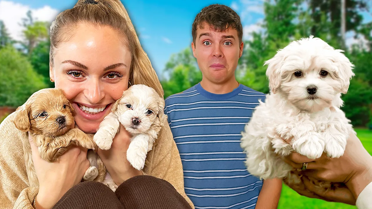 Baloo møder sine HVALPE for første gang!