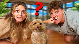 Hvem elsker Baloo MEST?!