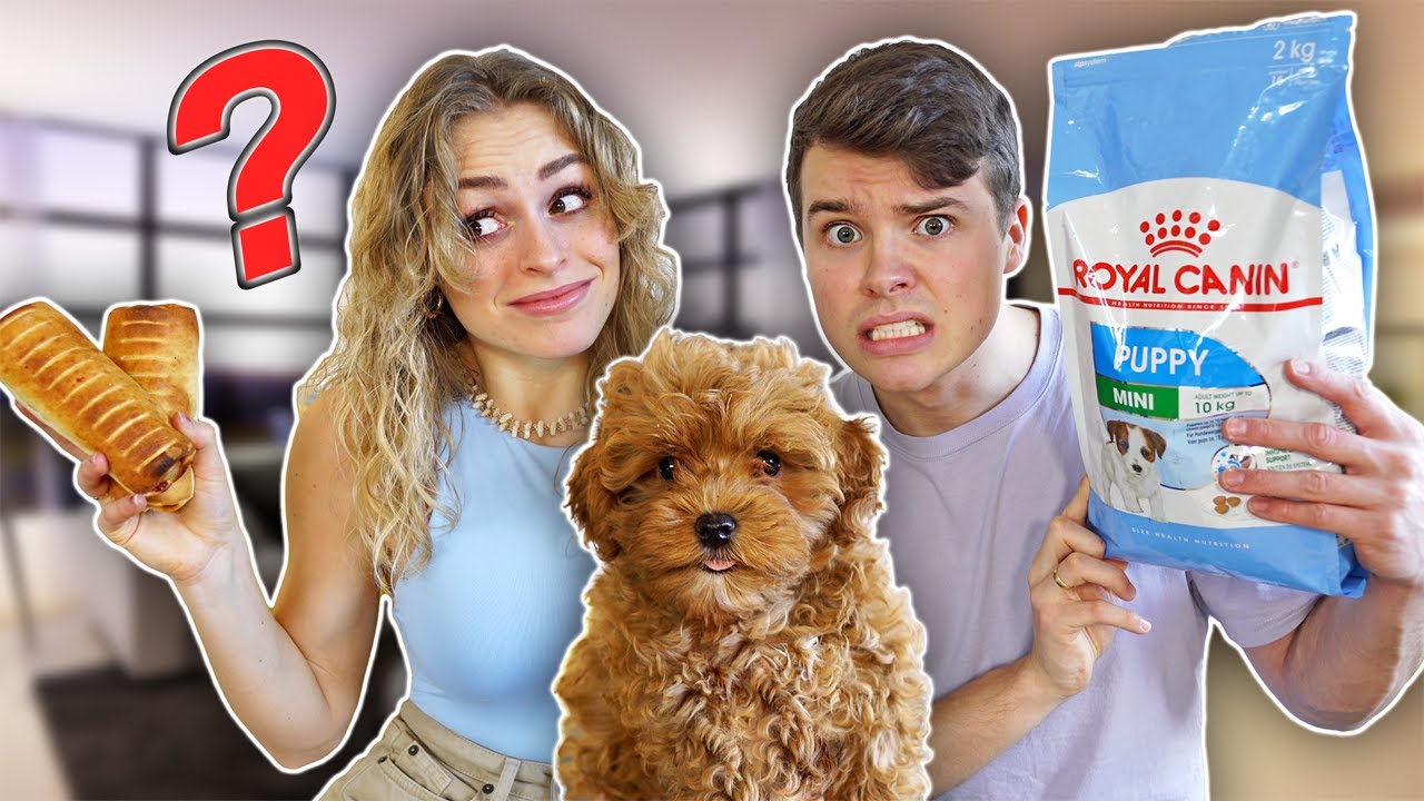 BALOO BESTEMMER VORES MAD I EN HEL DAG