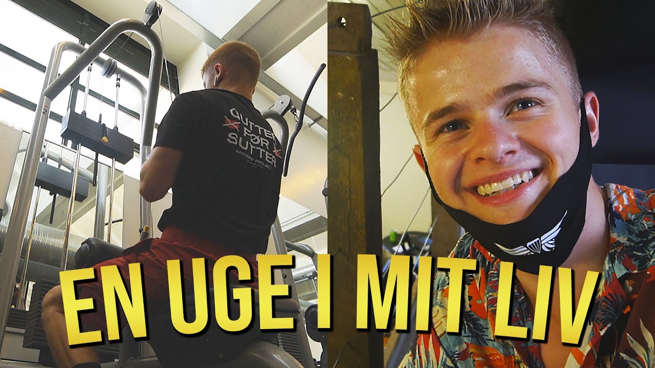 EN UGE SOM FULDTID! (NYT ANTISIMP, MØDER OG GUTTERNE)