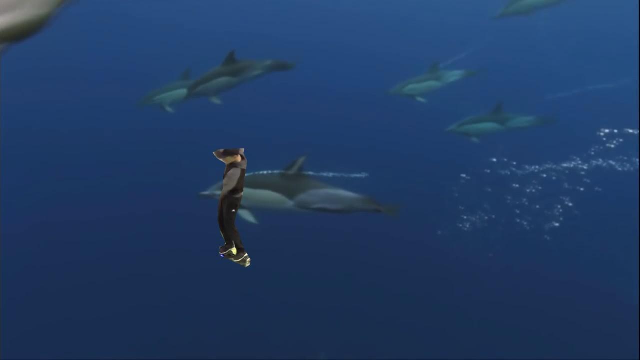 [DK] DAIZ - Shooting Stars