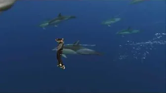 [DK] DAIZ - Shooting Stars