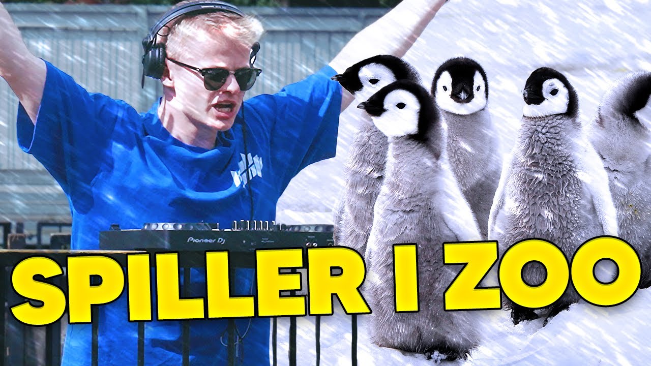 DJ'ER I ZOOLOGISK HAVE