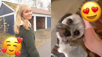 REUNION MED JOSEFINE FRA MIN SPROGREJSE!!