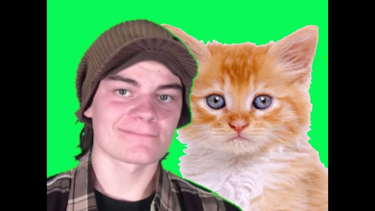 Hvad Tænker Katte Om Os? - Jens's Forum