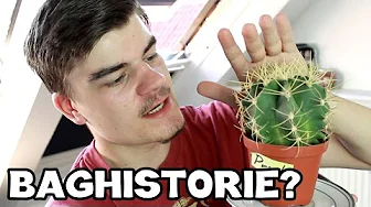 Hvor Kommer PRICK Fra?