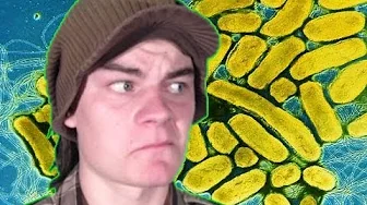 Bakterier - Jens's Forum