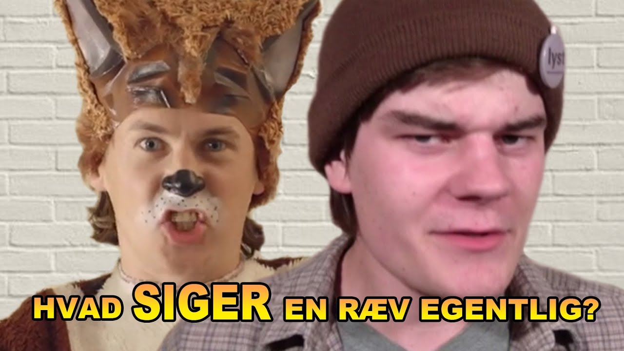 Hvad SIGER en ræv egentlig? | Analyse: Ylvis - The Fox