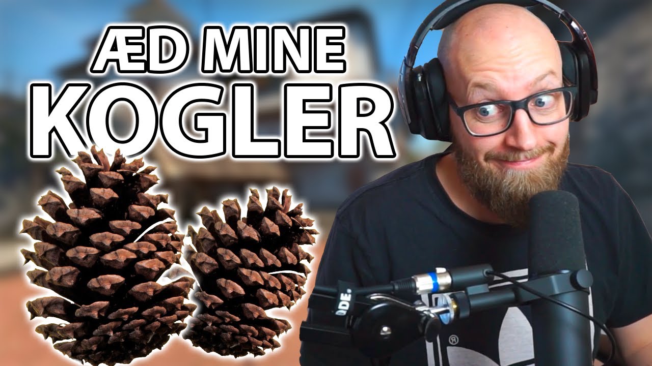 Æd Mine Kogler (CS:GO Fnatic tryout)