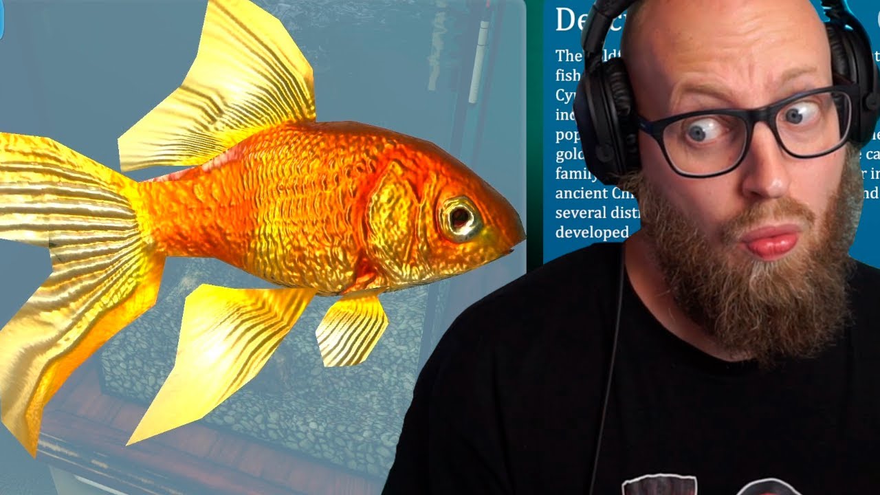 Jeg Prøver Aquarist