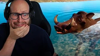 Mit Vortesvin Får Herpes