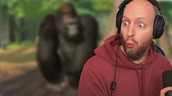 Får Nyt Hemmeligt Dyr i Zooen