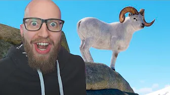 Jeg Køber Parkour Geder!