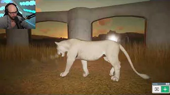 De Bedste Sneleoparder På Markedet!