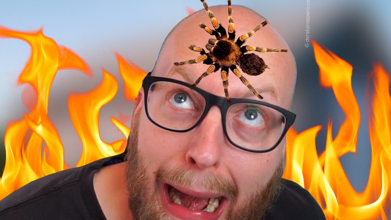 Dræb De Edderkopper! 🕷️ (Kill it with fire)