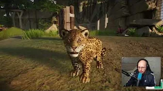 Jeg får kænguruer! (Planet Zoo #3)