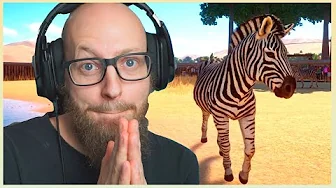 Ride ranketur på min nye ZEBRA!