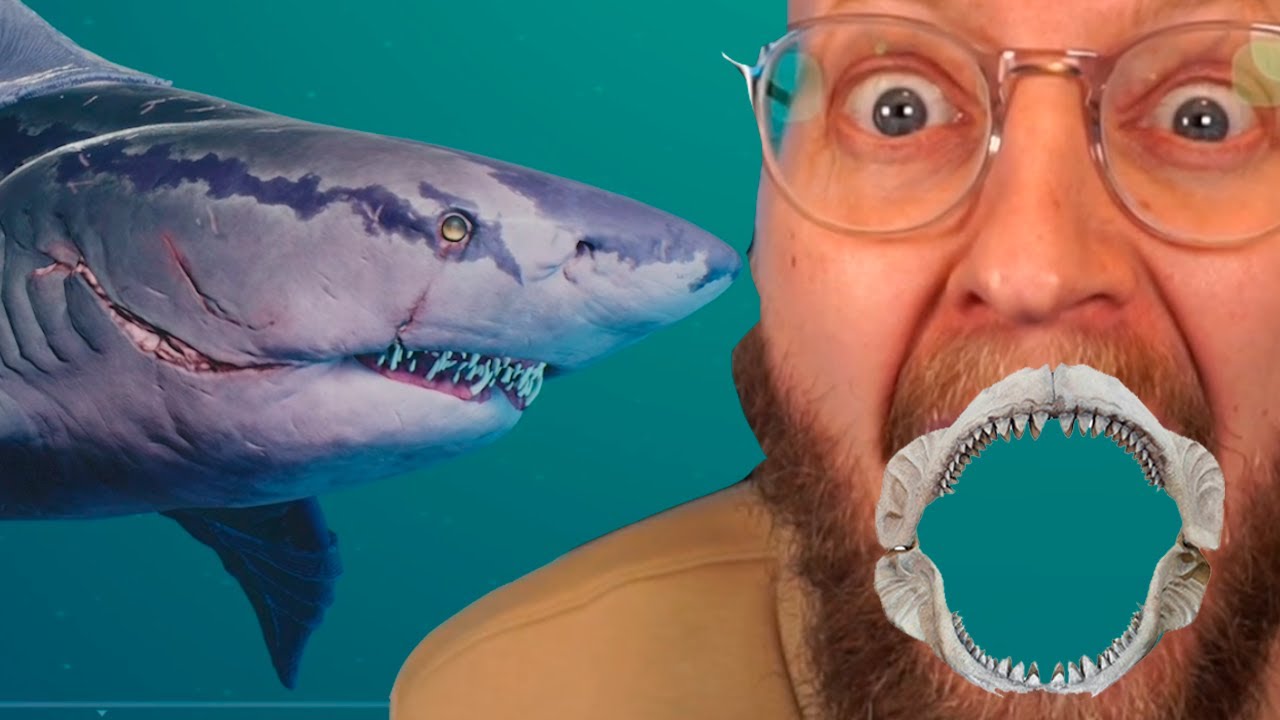 Shadow Shark er mit SPIRIT ANIMAL fra nu af