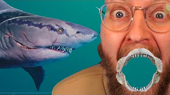 Shadow Shark er mit SPIRIT ANIMAL fra nu af