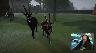 Jeg Laver Pandaindhegning! (Planet Zoo #12)