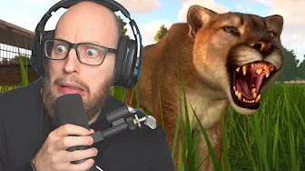 Køber Puma Der BRYDER UD! ups