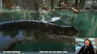 Deltakrokodillerne slipper ud (Planet Zoo #6)