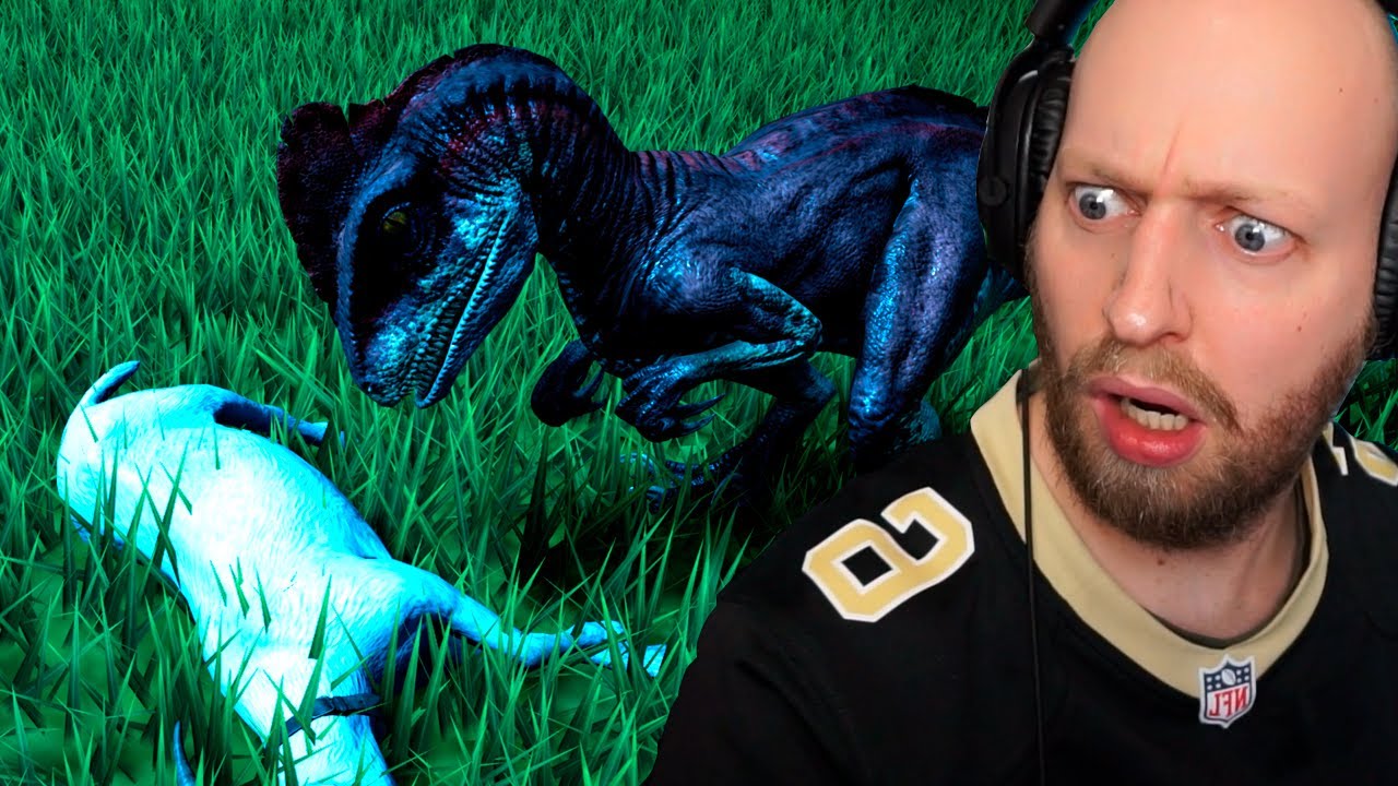 RIP Stakkels lille ged! Vild kødæder indtager parken!