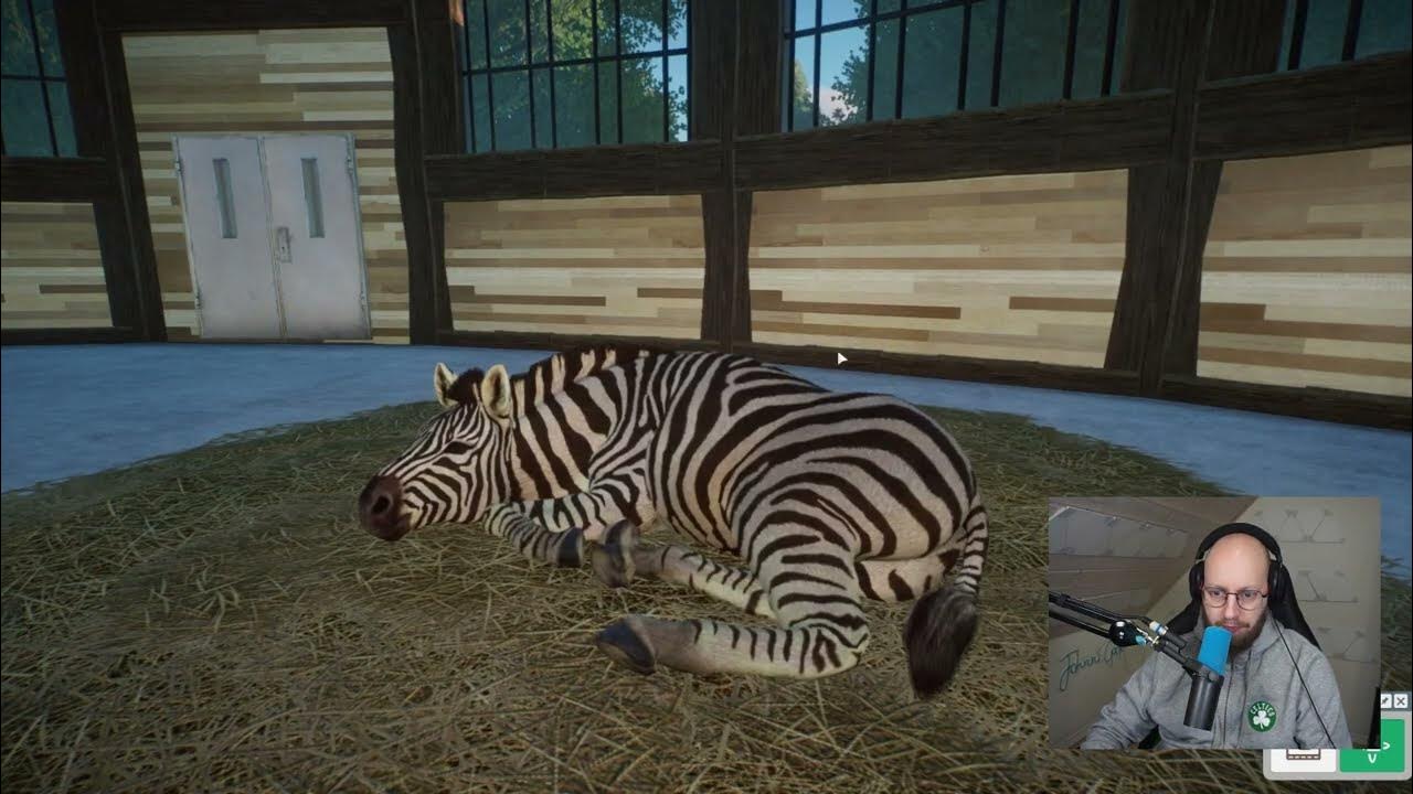 Det Fedeste Dyr i Spillet? (Planet Zoo #11)