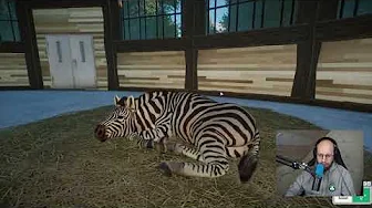 Det Fedeste Dyr i Spillet? (Planet Zoo #11)