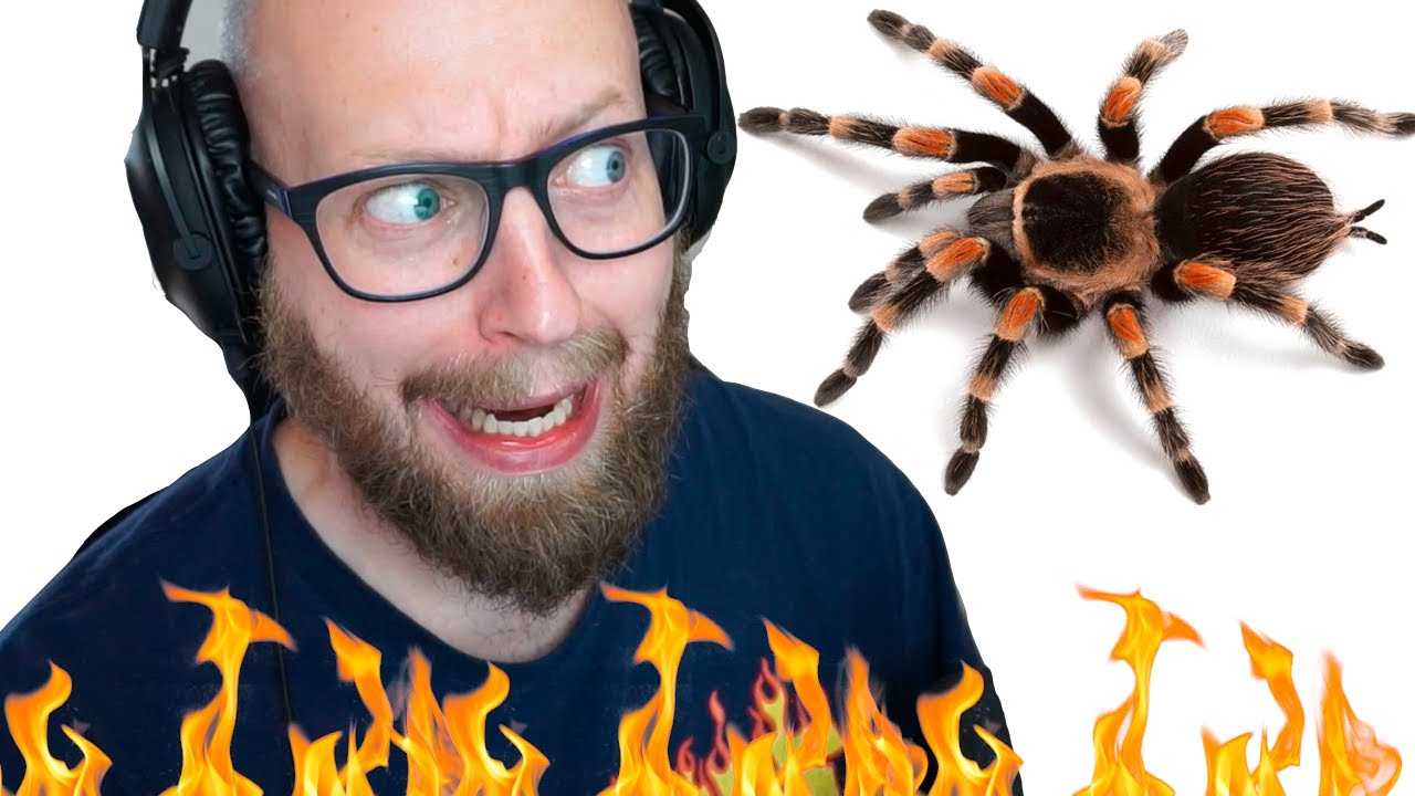 De er OVER ALT! (Kill It With Fire #2)