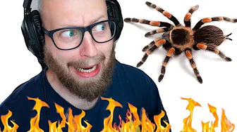 De er OVER ALT! (Kill It With Fire #2)