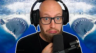 HAJERNE KOMMER! 🦈🦈