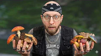 Svampe er MONEYMAKERS