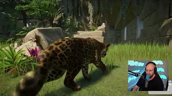 Jeg gjorde som I sagde og fik Giraffer! (Planet Zoo #8)