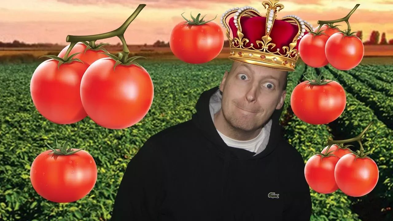 Kongen Af Tomato Town (Fortnite)