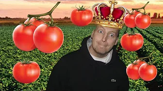 Kongen Af Tomato Town (Fortnite)