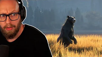 Prøver At Jage En Sortbjørn