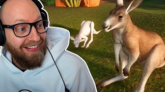 Får kænguru unger i min nye park!