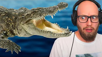 Jeg Har Fået En Krokodille i Planet Zoo