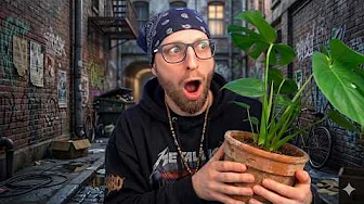 Udvikler SINDSYGT dyrt produkt