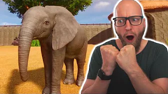 Min Første Baby Elefant