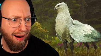 Møder en Hippogryph! (Hogwarts Legacy #8)