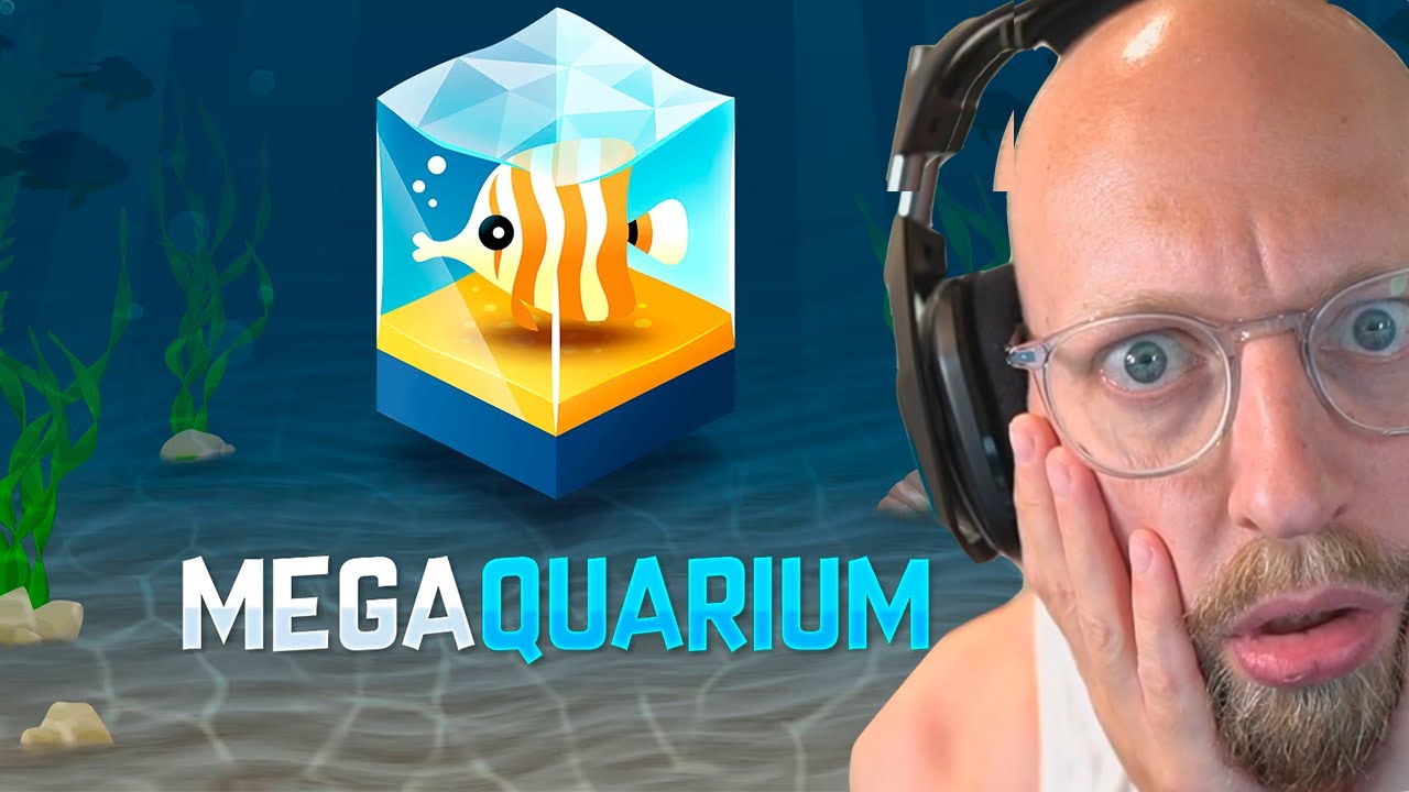 Bygger Mit Drømmeakvarie