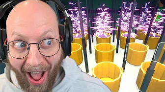 Laver KÆMPE weed farm