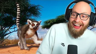 Adopterer Madagascar Lemurer!