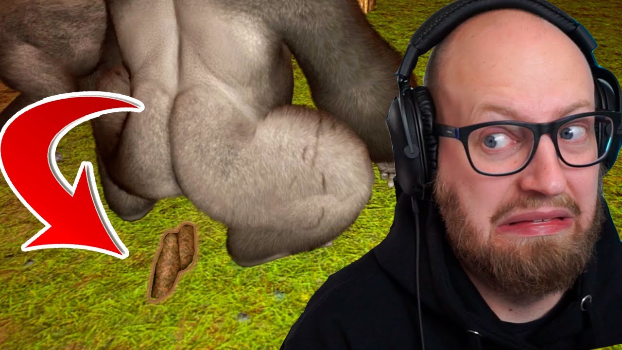 Min Silverback Gorilla Har DÅRLIG Mave