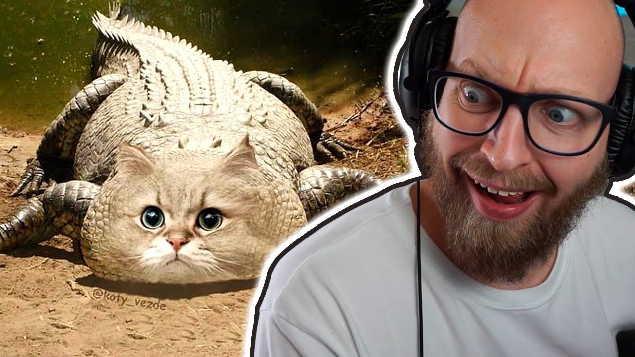 Memes Der Får Mig Til At Tvivle På Virkeligheden