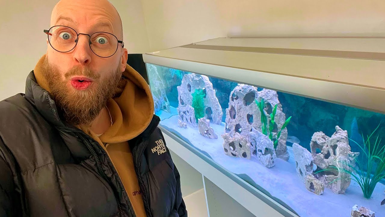 JEG FÅR FISK I AKVARIET!